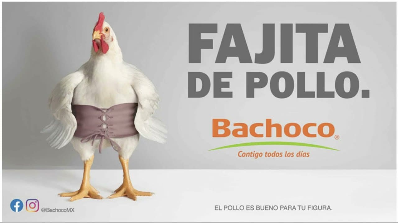 Meme marketing de Bachoco haciendo un juego de palabras entre platillos preparados con pollo e imágenes de gallinas disfrazadas